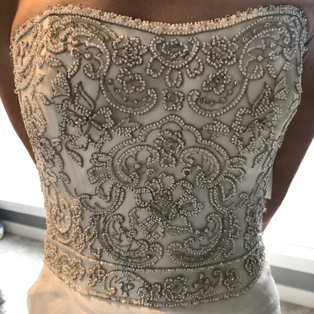 NWT Wedding Dress